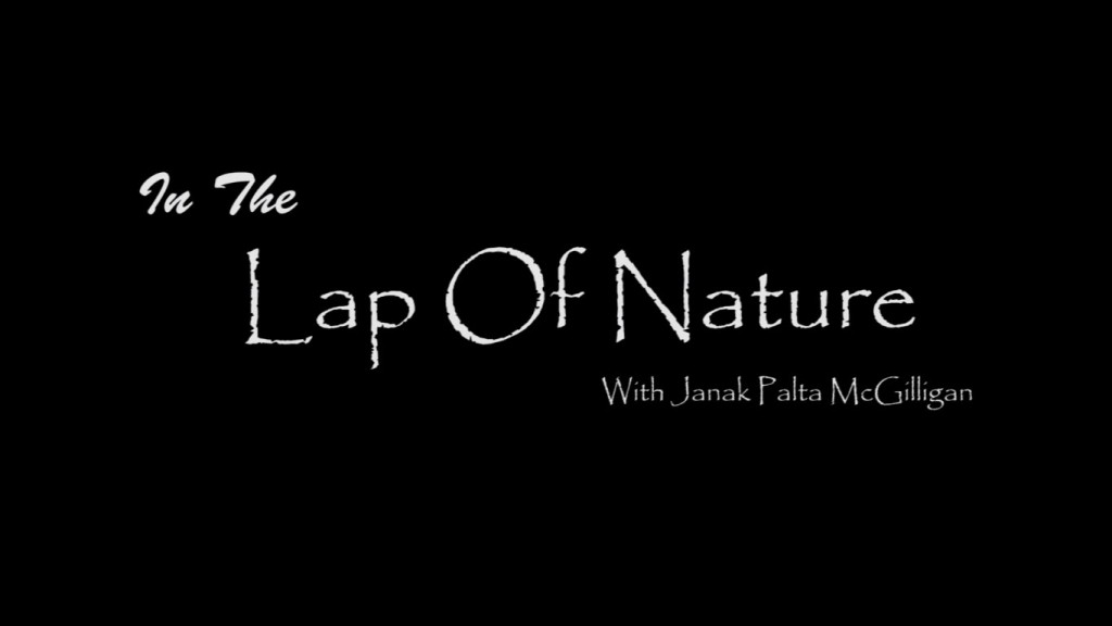 In The Lap of Nature – A documentary on sustainable development