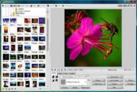 Photoscape 3.7